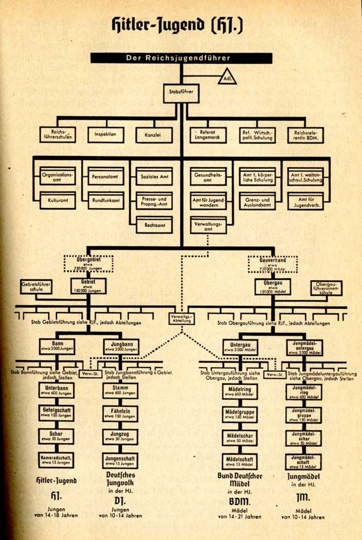 Hitler Youth organizational chart